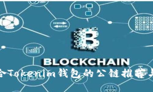 最适合Tokenim钱包的公链推荐与比较