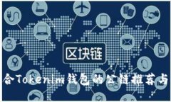最适合Tokenim钱包的公链推
