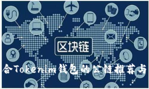 最适合Tokenim钱包的公链推荐与比较