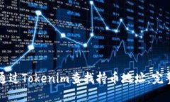 如何通过Tokenim查找持币地