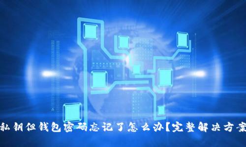 : 有私钥但钱包密码忘记了怎么办？完整解决方案详解