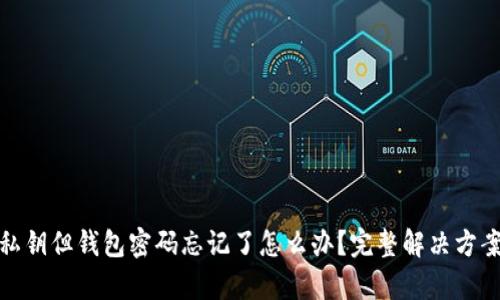 : 有私钥但钱包密码忘记了怎么办？完整解决方案详解