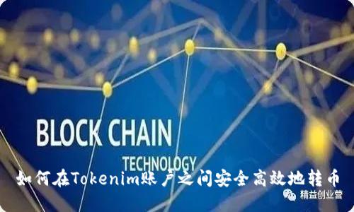 如何在Tokenim账户之间安全高效地转币