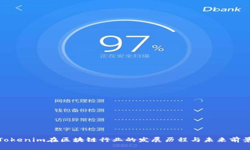 Tokenim在区块链行业的发展历程与未来前景