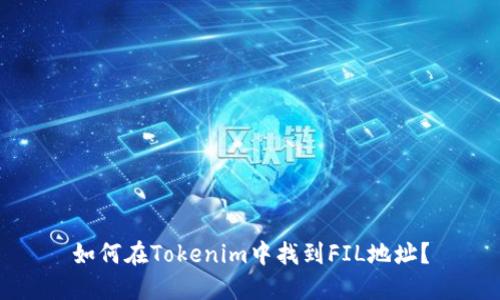 如何在Tokenim中找到FIL地址？