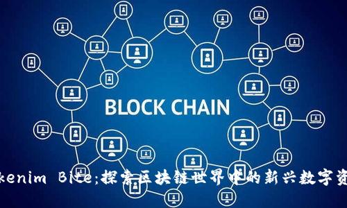 Tokenim Bite：探索区块链世界中的新兴数字资产