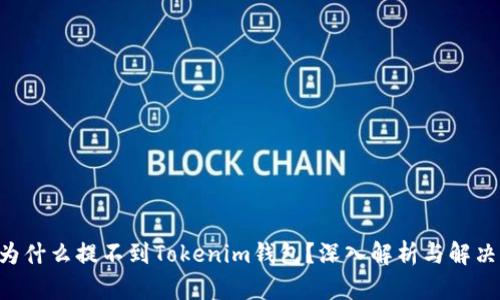 BTT为什么提不到Tokenim钱包？深入解析与解决方案