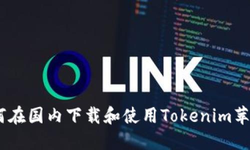 biati如何在国内下载和使用Tokenim苹果版应用