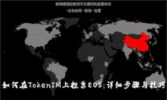 如何在TokenIM上投票EOS：详