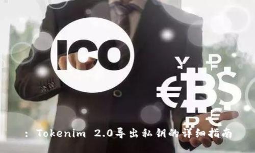 : Tokenim 2.0导出私钥的详细指南