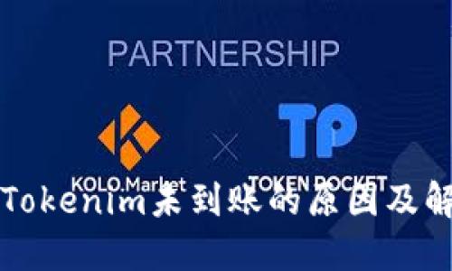 转币到Tokenim未到账的原因及解决方案