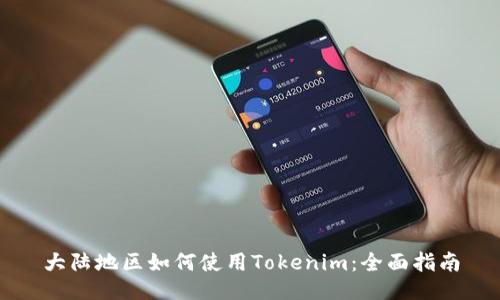 大陆地区如何使用Tokenim：全面指南