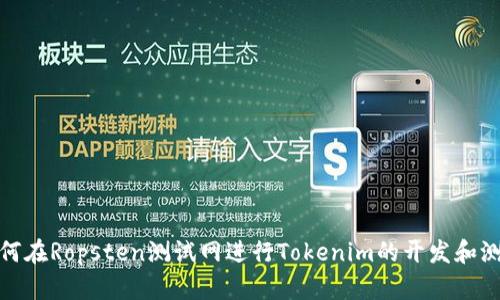 如何在Ropsten测试网进行Tokenim的开发和测试
