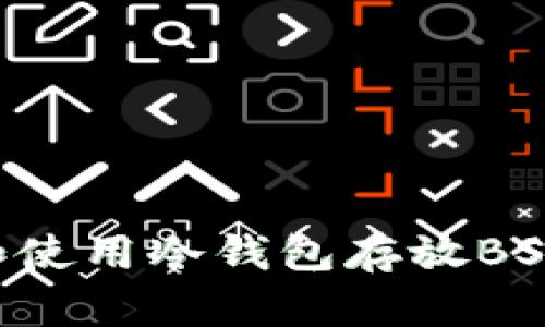 如何选择和使用冷钱包存放BSV：全面指南
