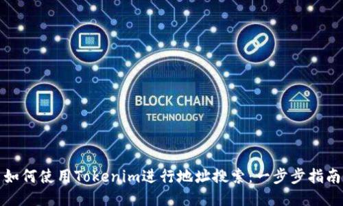 如何使用Tokenim进行地址搜索：一步步指南