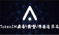 深入了解TokenIM病毒：类型