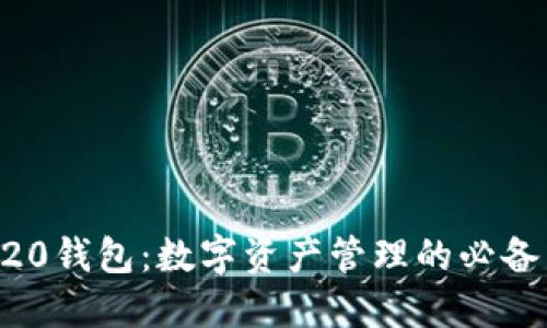 ERC20钱包：数字资产管理的必备工具