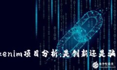 Tokenim项目分析：是创新还