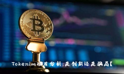 Tokenim项目分析：是创新还是骗局？