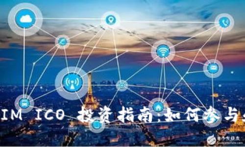 TokenIM ICO 投资指南：如何参与和收益