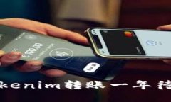 如何处理Tokenim转账一年待