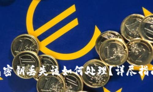 Tokenim钱包密钥丢失该如何处理？详尽指南与解决方案
