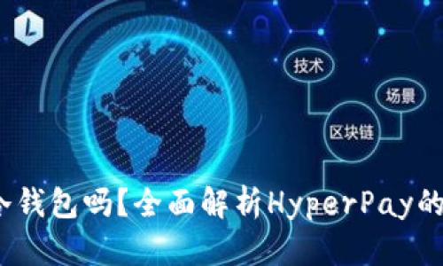 HyperPay是冷钱包吗？全面解析HyperPay的功能与安全性