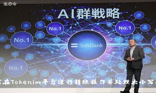 如何在Tokenim平台进行转账操作并处理大小写问题