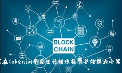 如何在Tokenim平台进行转账操作并处理大小写问题