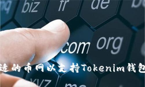 如何选择合适的币网以支持Tokenim钱包的提币功能
