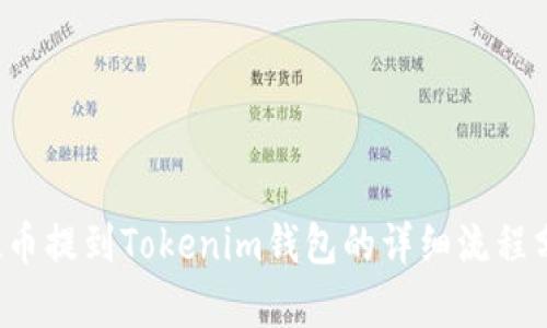FIL币提到Tokenim钱包的详细流程分析