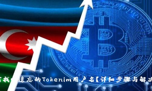  如何找回遗忘的Tokenim用户名？详细步骤与解决方案
