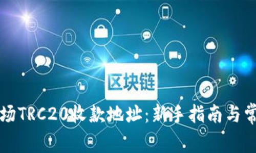 如何建立波场TRC20收款地址：新手指南与常见问题解析