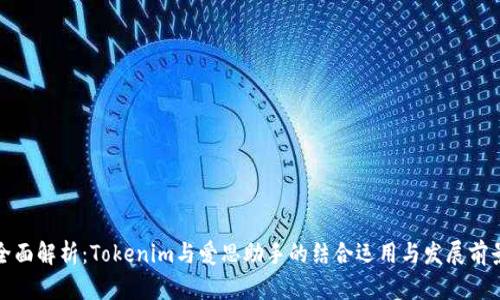 全面解析：Tokenim与爱思助手的结合运用与发展前景