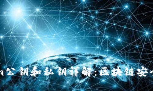 Tokenim公钥和私钥详解：区块链安全与应用
