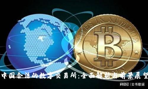 中国合法的数字交易所：全面解析与前景展望