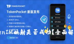 如何验证TokenIM映射是否成