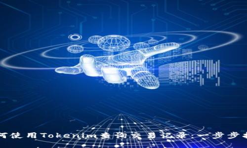 如何使用Tokenim查询交易记录：一步步指南