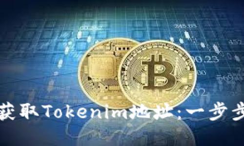 如何获取Tokenim地址:一步步指南