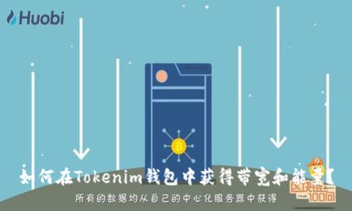 如何在Tokenim钱包中获得带宽和能量?