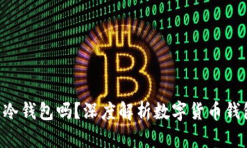 下载的钱包APP是冷钱包吗?深度解析数字货币钱包的类型与安全性