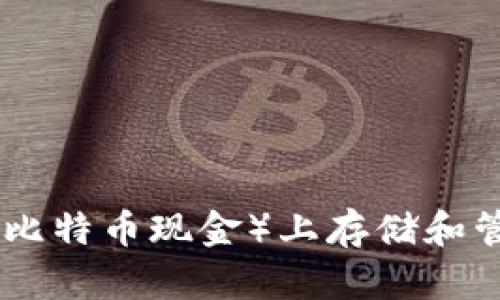 如何在BCH(比特币现金)上存储和管理TokenIM