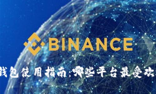 冷钱包使用指南:哪些平台最受欢迎?