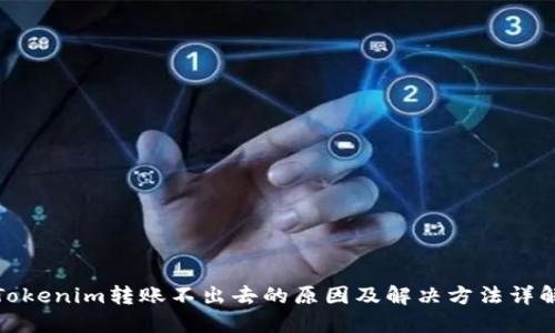 Tokenim转账不出去的原因及解决方法详解