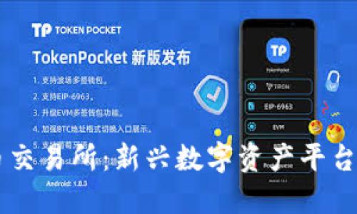 探索BG虚拟币交易所:新兴数字资产平台的全方位解读