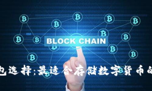 最佳冷钱包选择:最适合存储数字货币的应用推荐