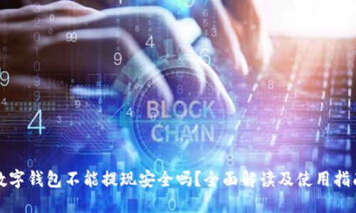 数字钱包不能提现安全吗?全面解读及使用指南