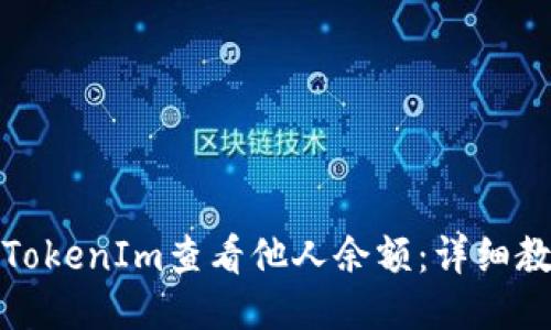 如何通过TokenIm查看他人余额:详细教程与技巧