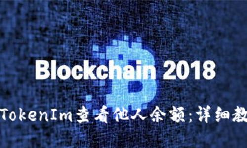 如何通过TokenIm查看他人余额:详细教程与技巧