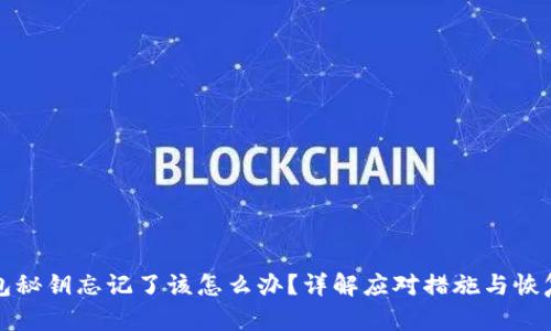 冷钱包秘钥忘记了该怎么办？详解应对措施与恢复技巧
